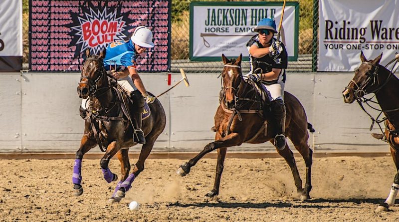 Arena polo online